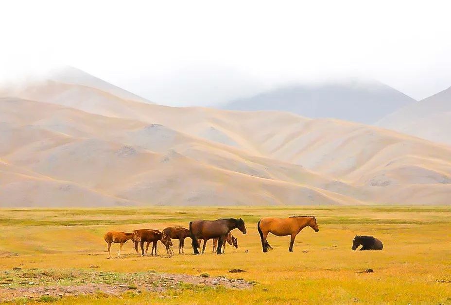 尘封的历史—前苏联无线电侦察站