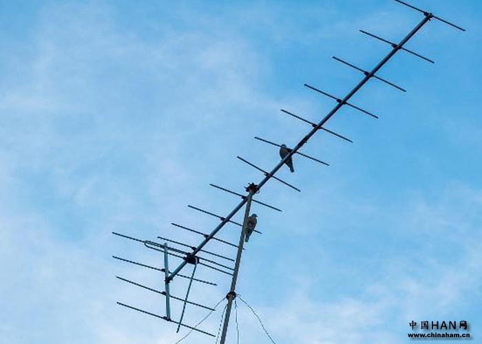 Short_Wave_Antenna_0.jpg Short_Wave_Antenna_0.jpg