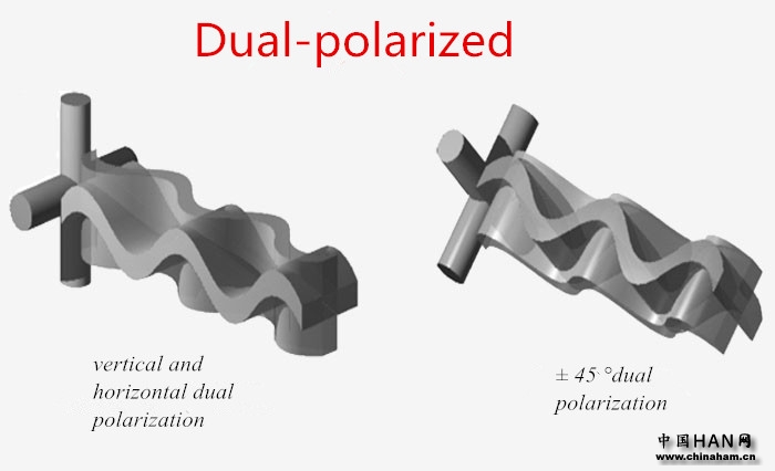 Dual Polarized-Ailunce.jpg Dual Polarized-Ailunce.jpg