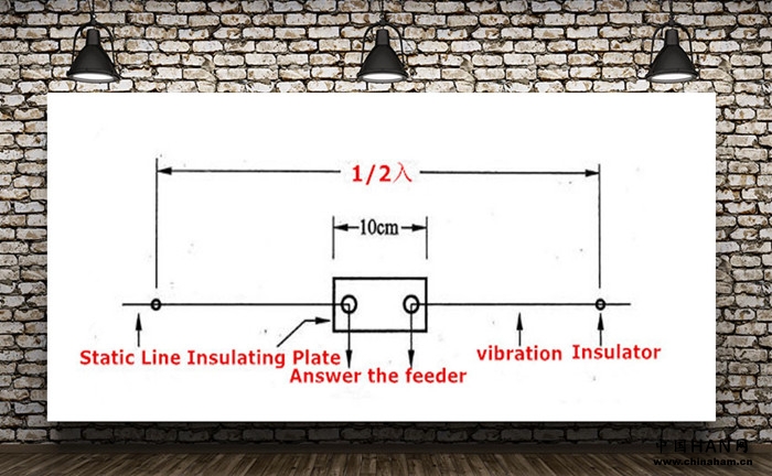 Dipole antenna structure diagram-Ailunce